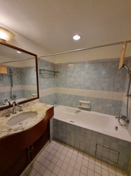 Cavenagh Lodge (D9), Apartment #622772401